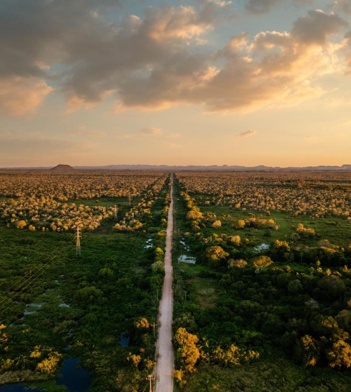 A high angle shot of a beautiful green landscape with a pathway under a cloudy sky